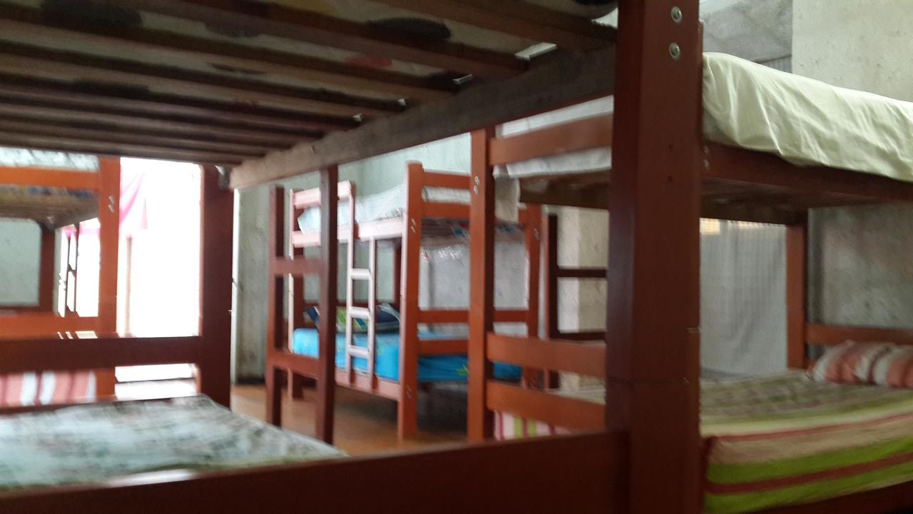 Lion Aqp Hostel Yanahuara Exteriér fotografie