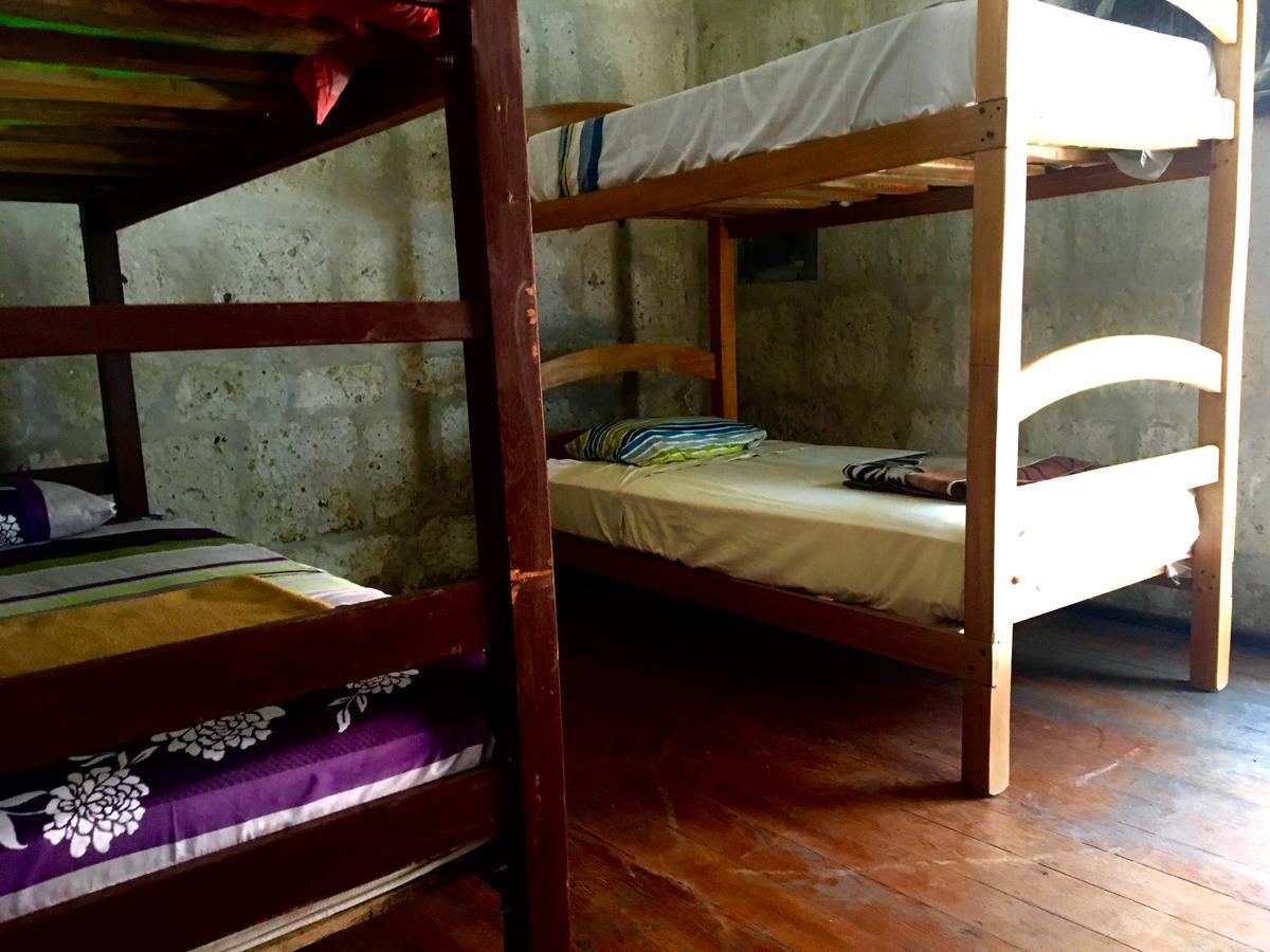 Lion Aqp Hostel Yanahuara Exteriér fotografie